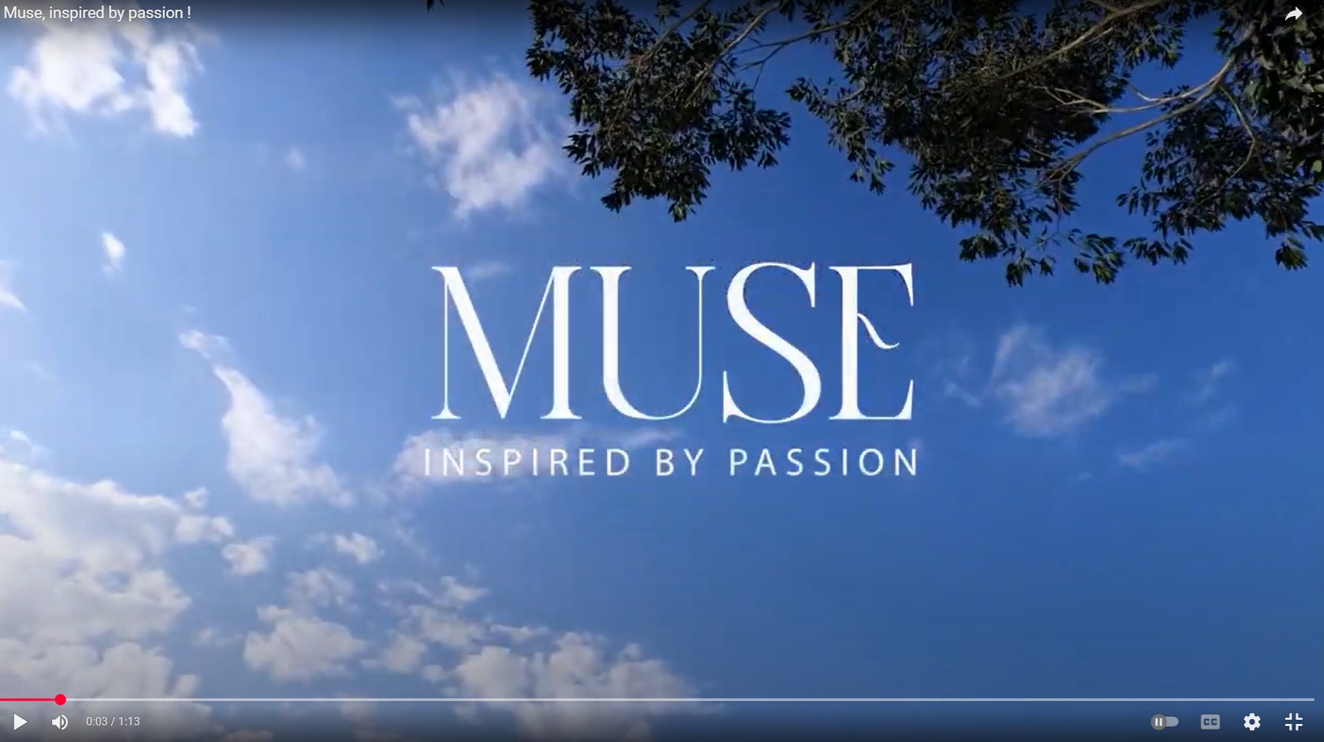 Muse, inspired by passion !